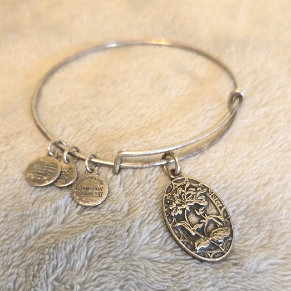 #018 Alex And Ani Silver Charm Bangle Bracelet
